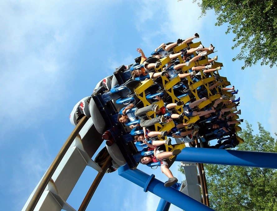 Themagical | National Roller Coaster Day 2025